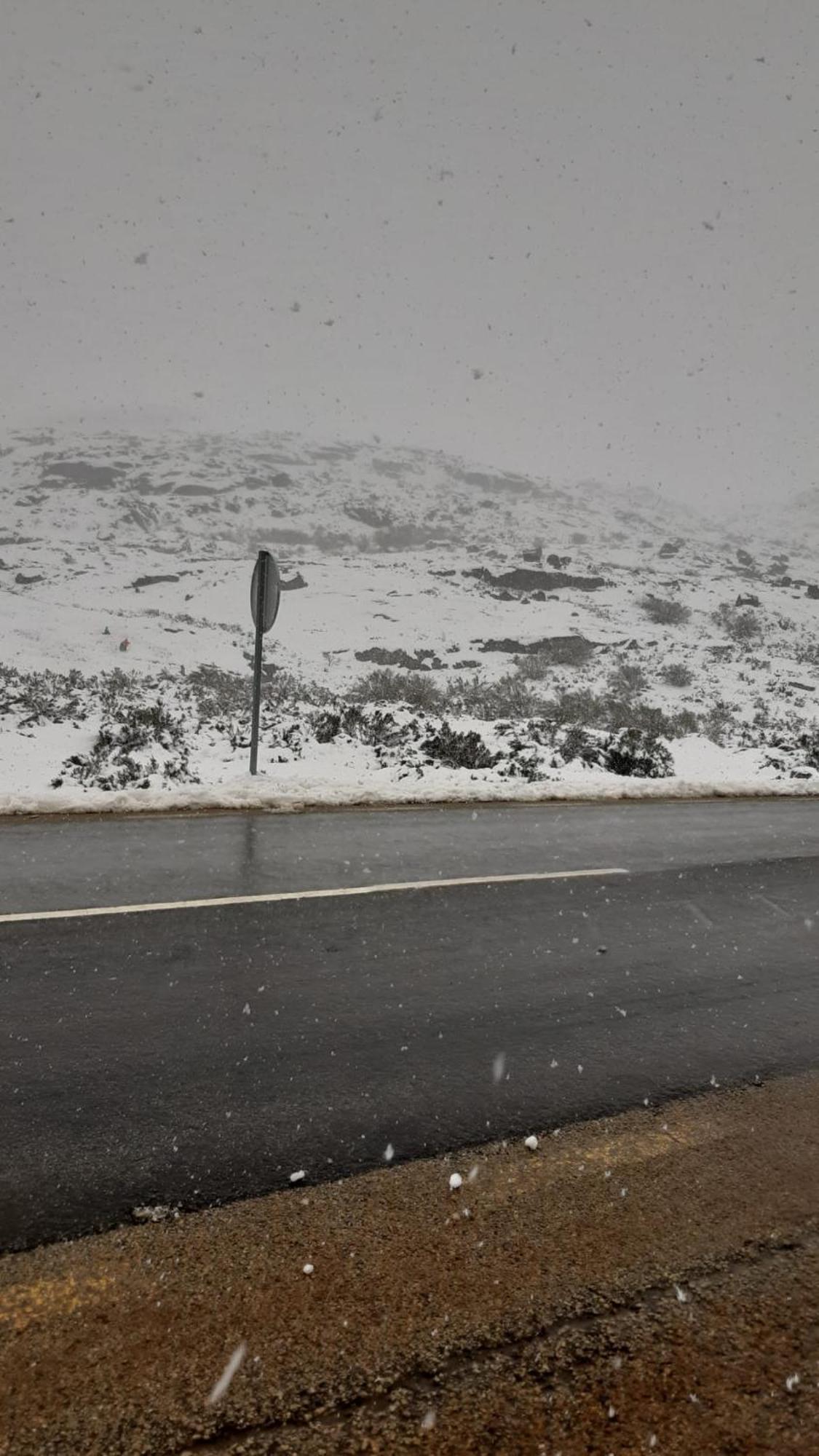 Serra Da Estrela - Casa Castro Говея Экстерьер фото